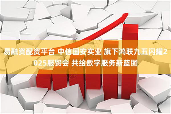 易融资配资平台 中信国安实业 旗下鸿联九五闪耀2025服贸会 共绘数字服务新蓝图