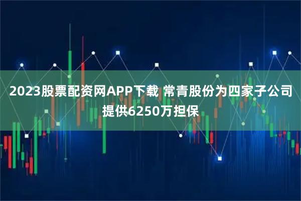2023股票配资网APP下载 常青股份为四家子公司提供6250万担保