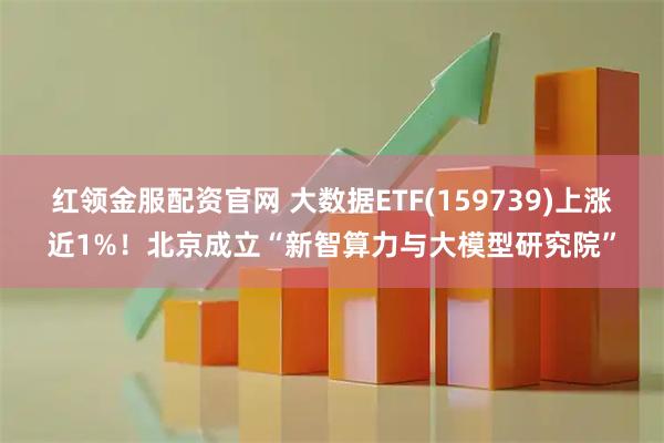 红领金服配资官网 大数据ETF(159739)上涨近1%！北京成立“新智算力与大模型研究院”