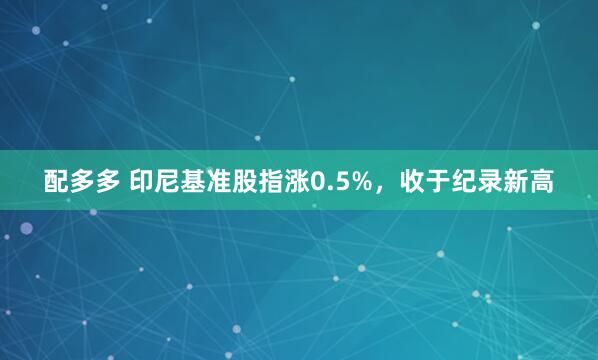 配多多 印尼基准股指涨0.5%，收于纪录新高